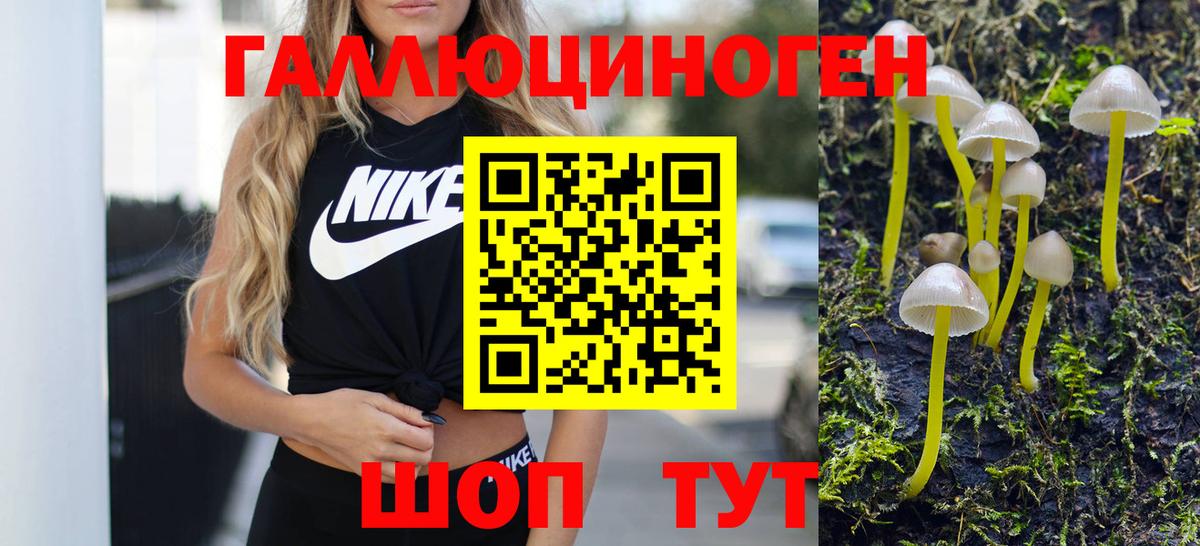 Галлюциногенные грибы прущие грибы  Волжск 